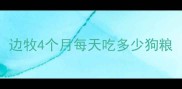 边牧4个月每天吃多少狗粮