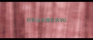 拉布拉多哪有卖的