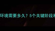 猫咪适应新环境需要多久5个关键阶段和科学方法