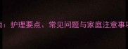 狗狗留置针输液全指南护理要点常见问题与家庭注意事项附专业兽医建议