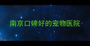 南京口碑好的宠物医院
