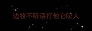 边牧不听话打他它咬人