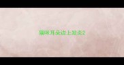 猫咪耳朵边上发炎