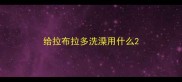 给拉布拉多洗澡用什么
