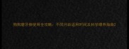 狗狗磨牙棒使用全攻略不同月龄适用时间及科学喂养指南