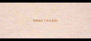 狗狗就打了狂犬疫苗