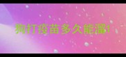 狗打疫苗多久能溜