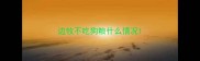边牧不吃狗粮什么情况