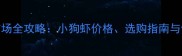 宠物虾市场全攻略小狗虾价格选购指南与饲养要点