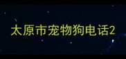 太原市宠物狗电话