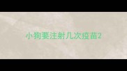 小狗要注射几次疫苗