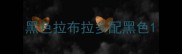 黑色拉布拉多配黑色