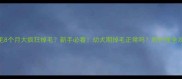 金毛8个月大疯狂掉毛新手必看幼犬期掉毛正常吗附护理全攻略