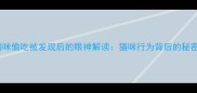 猫咪偷吃被发现后的眼神解读猫咪行为背后的秘密