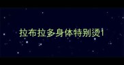 拉布拉多身体特别烫