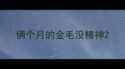 俩个月的金毛没精神