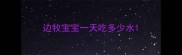 边牧宝宝一天吃多少水