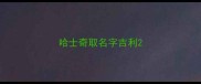 哈士奇取名字吉利