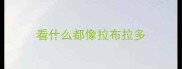 看什么都像拉布拉多
