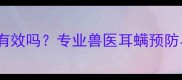 猫咪耳螨疫苗有效吗专业兽医耳螨预防与治疗全攻略