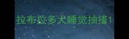 拉布拉多犬睡觉抽搐