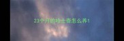 23个月的哈士奇怎么养