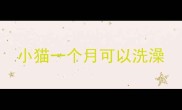 小猫一个月可以洗澡