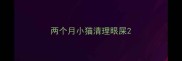 两个月小猫清理眼屎
