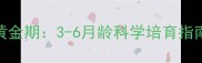 边境牧羊犬幼犬训练黄金期3-6月龄科学培育指南附分阶段训练法