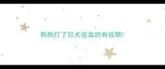 狗狗打了狂犬疫苗的有效期