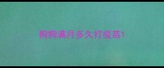 狗狗满月多久打疫苗