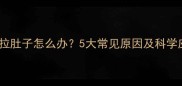 猫咪频繁拉肚子怎么办5大常见原因及科学应对指南
