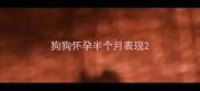 狗狗怀孕半个月表现