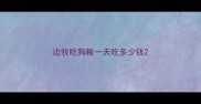 边牧吃狗粮一天吃多少钱