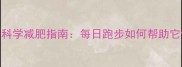 拉布拉多科学减肥指南每日跑步如何帮助它健康瘦身