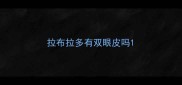 拉布拉多有双眼皮吗