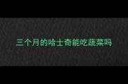 三个月的哈士奇能吃蔬菜吗