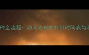 金毛犬疫苗接种全流程幼犬必知的打针时间表与科学养护指南