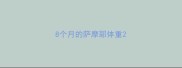 8个月的萨摩耶体重