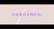 济南哪有宠物医院