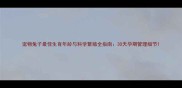 宠物兔子最佳生育年龄与科学繁殖全指南30天孕期管理细节