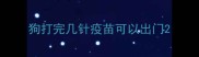 狗打完几针疫苗可以出门