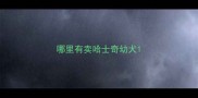 哪里有卖哈士奇幼犬
