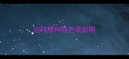 边牧哪种颜色最聪明
