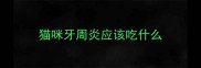 猫咪牙周炎应该吃什么