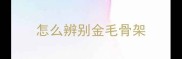 怎么辨别金毛骨架