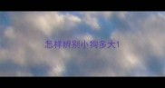 怎样辨别小狗多大