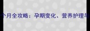 博美犬怀孕一个月全攻略孕期变化营养护理与分娩准备指南
