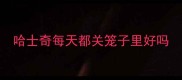 哈士奇每天都关笼子里好吗