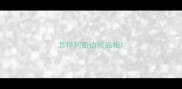 怎样判断边牧品相